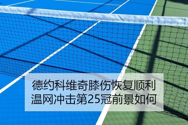 德约科维奇膝伤恢复顺利 温网冲击第25冠前景如何