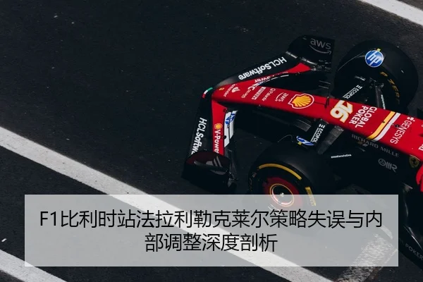 bi-li-shi-zhan-fa-la-li-lei-ke-lai-er-ce-lve-shi-wu-yu-nei-bu-tiao-zheng-shen-du-pou-xi-3-256.jpg
