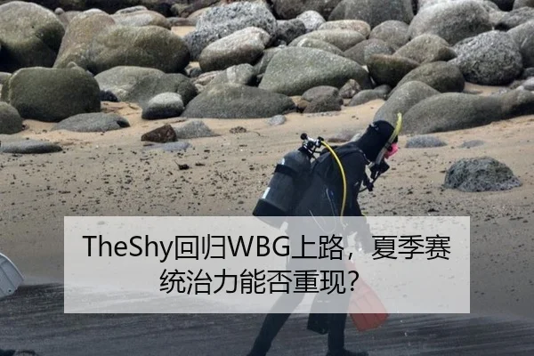 TheShy回归WBG上路，夏季赛统治力能否重现？