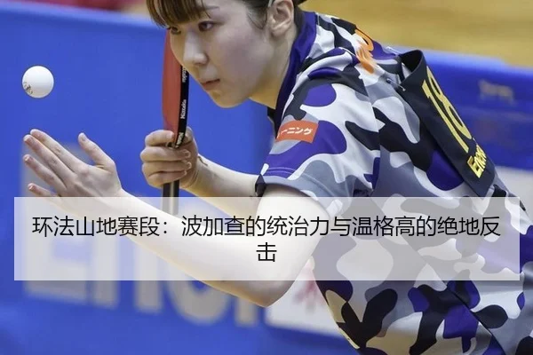 环法山地赛段：波加查的统治力与温格高的绝地反击