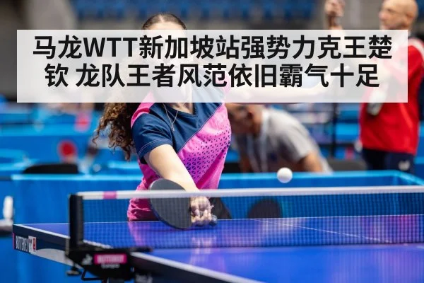 table tennis champion