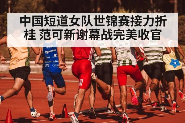 中国短道女队世锦赛接力折桂 范可新谢幕战完美收官