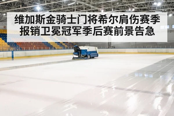 维加斯金骑士门将希尔肩伤赛季报销卫冕冠军季后赛前景告急