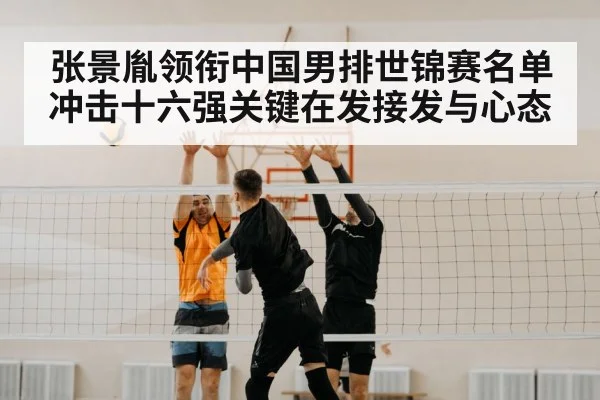 volleyball net block indoor match